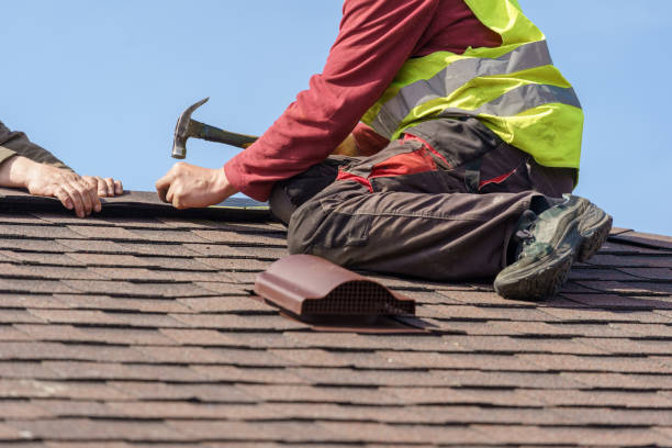 Best Roof Maintenance Services  in Ridgeville, SC