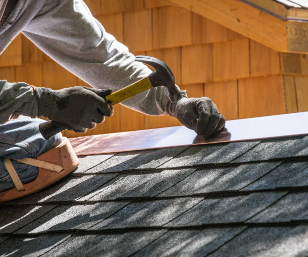 Best Metal Roofing Contractor  in Ridgeville, SC